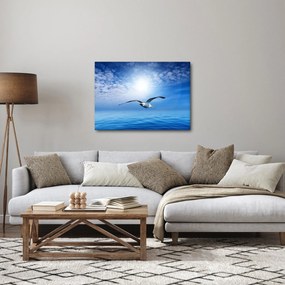 Obraz - Čajka nad morom (70x50 cm)