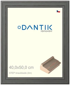 DANTIK rám na obraz 40x50 | STEP tmavěšedá (Sklo Čiré)