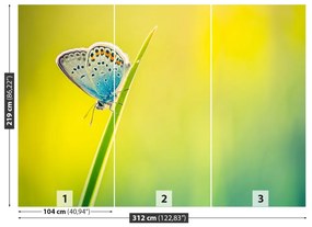 Fototapeta Vliesová Motýľ 208x146 cm