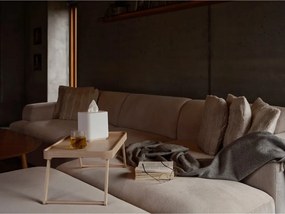 Plastový box na vreckovky Ume – Zone