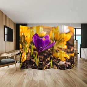 Paraván - Fialová kvetina (210x170 cm)