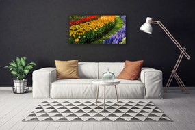 Obraz Canvas Kvety záhrada tulipány 125x50 cm