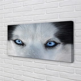 Obraz na plátne wolf Eyes 120x60 cm