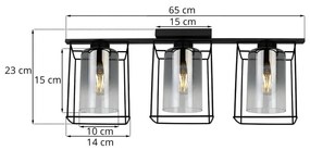 Stropné svietidlo Hella cage, 3x grafitové sklenené tienidlo v kovovom ráme