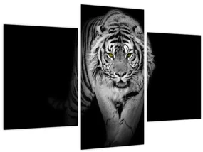 Obraz - Tiger so žltými očami (90x60 cm)