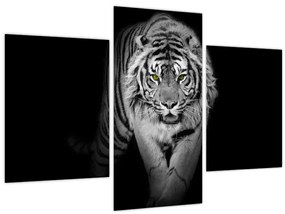 Obraz - Tiger so žltými očami (90x60 cm)