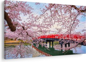Obraz - Hirosaki, Japonsko (90x60 cm)