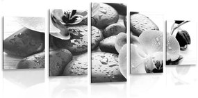 5-dielny obraz krásna súhra kameňov a orchidey v čiernobielom prevedení - 100x50