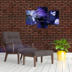 Obraz - Tropický kvet (90x60 cm)