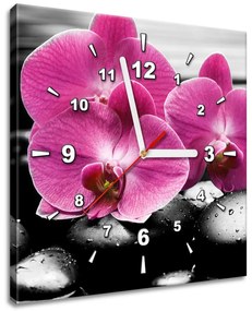 Gario Obraz s hodinami Krásna orchidea medzi kameňmi Rozmery: 30 x 30 cm