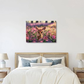 Sklenený obraz - Roztomilá srnčeka (70x50 cm)