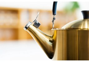 Varná kanvica z nehrdzavejúcej ocele v zlatej farbe 1,5 l Diamante – Vialli Design