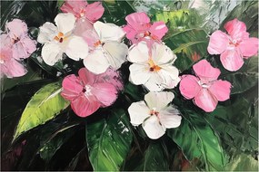 Obraz - Ružové a biele kvety (90x60 cm)