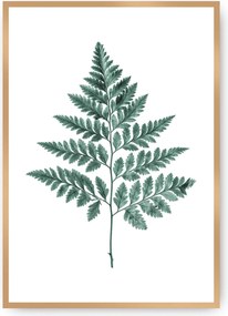 Plagát Fern 21 x 30 cm Emerald Green
