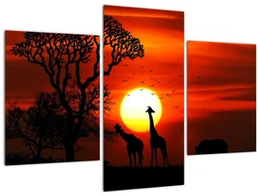 Obraz - Siluety zvierat pri západe slnka (90x60 cm)
