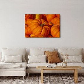 Obraz - Veľké tekvice (90x60 cm)