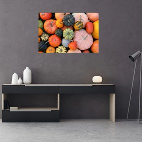 Obraz - Tekvica (90x60 cm)