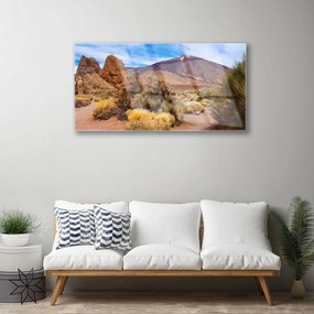 Skleneny obraz Hory rastliny skaly krajina 140x70 cm