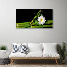 Obraz na plátne Bambus kvet rastlina 120x60 cm