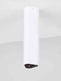 LED bielo-čierne dizajnové stropné svietidlo Etho 20