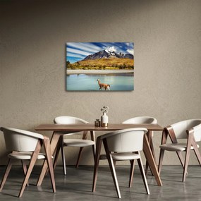 Obraz - Národný park Torres del Paine (70x50 cm)