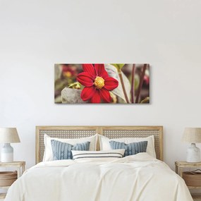 Obraz kvetiny (120x50 cm)