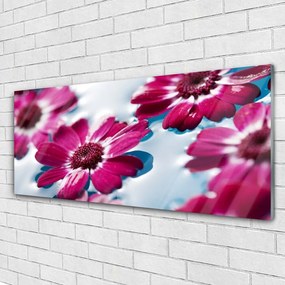 Obraz plexi Kvety na vode príroda 125x50 cm