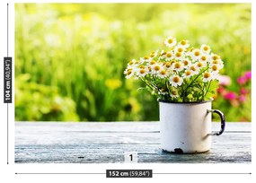 Fototapeta Vliesová Kvety sedmokrásky 312x219 cm
