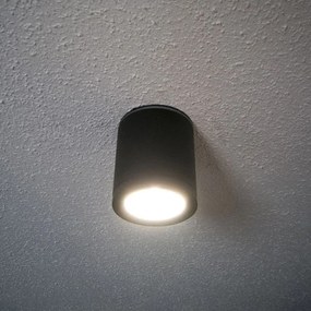 McLED Vonkajšie LED nástenné osvetlenie NOEL R, 7W, denná biela, IP65, čierne