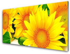Sklenený obklad Do kuchyne Slnečnica kvet príroda 140x70 cm