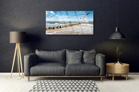 Skleneny obraz Čajky more príroda 120x60 cm