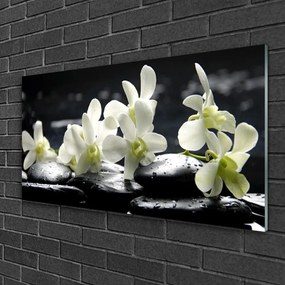 Obraz na skle Kvet kamene rastlina 125x50 cm