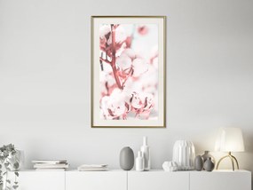Artgeist Plagát - Blooming Cotton [Poster] Veľkosť: 20x30, Verzia: Zlatý rám s passe-partout
