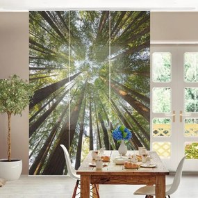 MANUFACTURER -  Súprava posuvnej záclony - Sequoia Tree Tops -3 panely