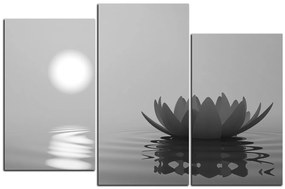 Obraz na plátne - Zen lotus 1167QC (150x100 cm)