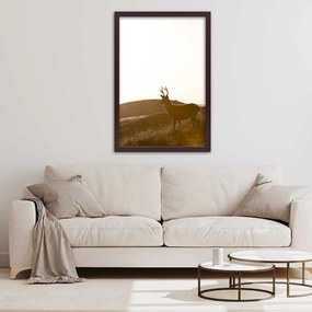 Gario Plagát Mladý jeleň Farba rámu: Bez rámu, Rozmery: 70 x 100 cm