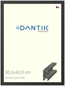 DANTIK rám na obraz 30x40 | ALU Černá matná (Plexi Čiré)
