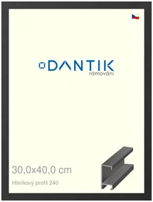 DANTIK rám na obraz 30x40 | ALU Černá matná (Plexi Čiré)