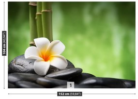 Fototapeta Vliesová Kúpele kvetina 104x70 cm