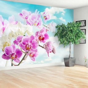 Fototapeta Vliesová Orchidey modrá 416x254 cm