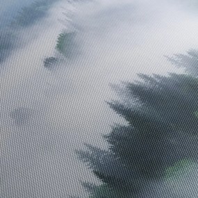 Obraz - Stromy v hmle (150x105 cm)