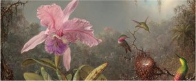 Obraz - Martin Johnson Heade, Cattleya Orchid and Three Hummingbirds, reprodukcia (120x50 cm)