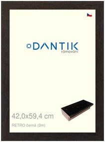 DANTIK rám na obraz 42x59,4 | RETRO černá (Plexi Čiré)