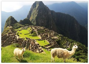 Sklenený obraz - Machu Picchu (70x50 cm)