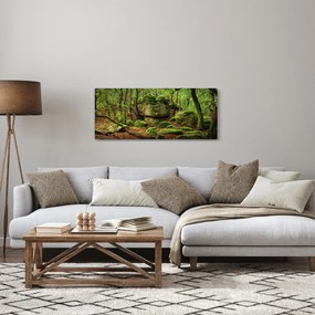 Obraz čarovného lesa (120x50 cm)