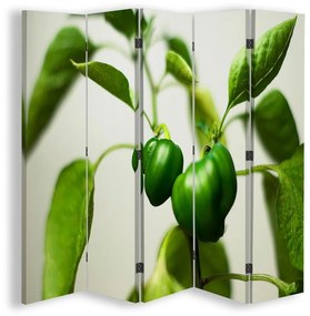Ozdobný paraván Paprika listová zelená - 180x170 cm, päťdielny, klasický paraván