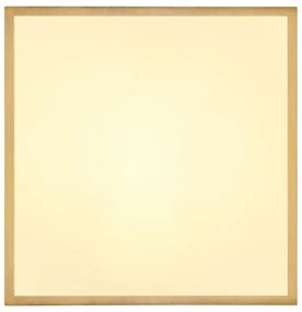 Globo 12382-22 - LED Stropné svietidlo TIBEY LED/22W/230V 35x35 cm