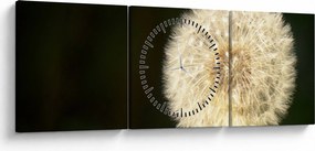 Obraz sivej púpavy (s hodinami) (90x30 cm)