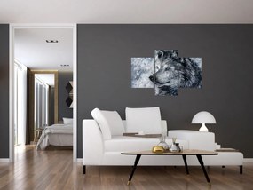 Obraz - Kreslený vlk (90x60 cm)