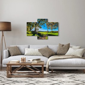 Obraz - Výhľad na pole (90x60 cm)